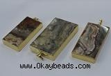 CGP3427 25*45mm - 30*55mm rectangle crazy lace agate pendants