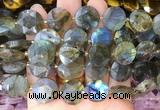CIBS53 15 inches 15mm faceted coin labradorite beads wholesale CIBS53 15 inches 15mm faceted coin labradorite beads wholesale