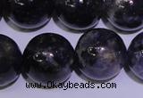 CIL06 15.5 inches 12mm round natural iolite gemstone beads