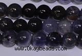 CIL10 15.5 inches 5mm round A grade natural iolite gemstone beads