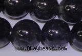 CIL16 15.5 inches 11mm round A grade natural iolite gemstone beads