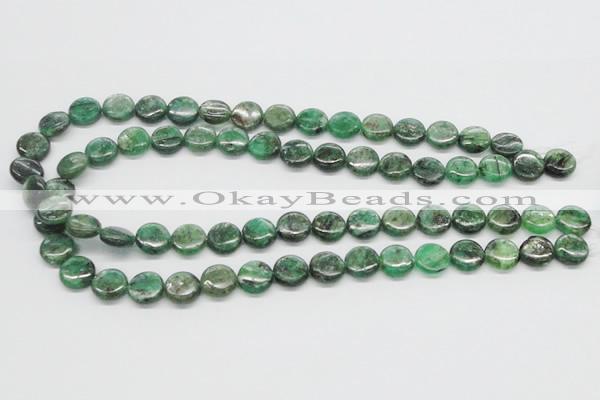 CKC108 16 inches 12mm flat round natural green kyanite beads wholesale