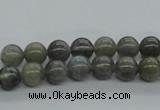 CLB100 15.5 inches 8mm round labradorite gemstone beads wholesale