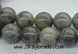 CLB102 15.5 inches 14mm round labradorite gemstone beads wholesale