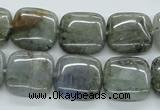 CLB116 15.5 inches 16*16mm square labradorite gemstone beads wholesale