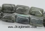 CLB122 15.5 inches 13*18mm rectangle labradorite gemstone beads wholesale