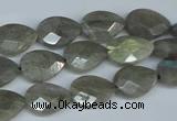 CLB184 15.5 inches 10*14mm faceted flat teardrop labradorite beads