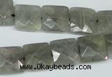 CLB201 15.5 inches 14*14mm faceted square labradorite beads