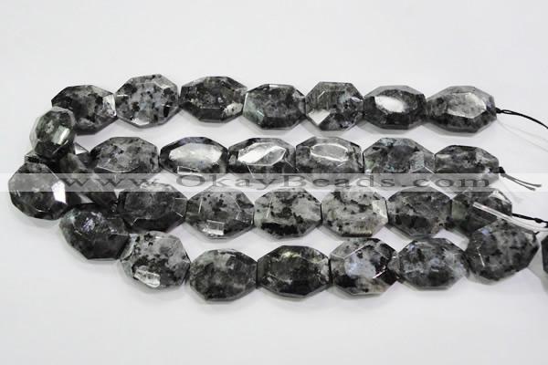 CLB325 15.5 inches 20*25mm octagonal black labradorite beads