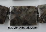 CLB426 15.5 inches 20*30mm faceted rectangle grey labradorite beads