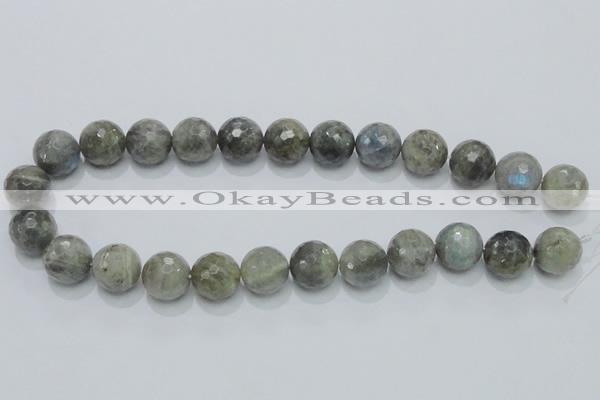 CLB52 15.5 inches 16mm faceted round labradorite gemstone beads