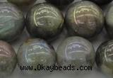 CLB608 15.5 inches 20mm round AB-color labradorite beads