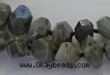 CLB765 15.5 inches 8*12mm - 12*16mm faceted nuggets labradorite beads