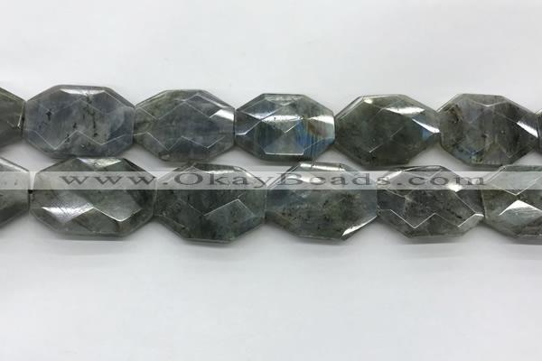 CLB799 25*30mm - 25*35mm faceted octagonal labradorite beads