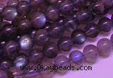 CLB812 15 inches 6mm round blue labradorite gemstone beads