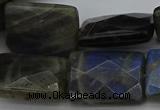 CLB965 15.5 inches 20*30mm faceted rectangle labradorite beads