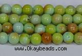 CMJ737 15.5 inches 6mm round rainbow jade beads wholesale