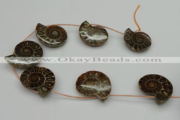 CMM05 15.5 inches 30*35mm - 35*40mm carved ammonite gemstone beads