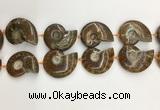 CMM10 15.5 inches 30*40mm - 35*45mm carved ammonite gemstone beads