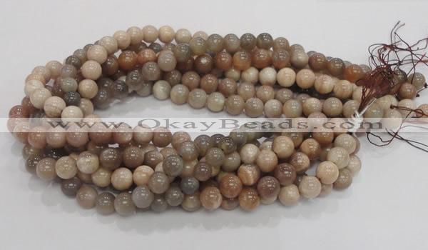 CMS03 15.5 inches 10mm round moonstone gemstone beads wholesale