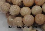 CMS04 15.5 inches 18mm round moonstone gemstone beads wholesale