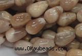 CMS09 15.5 inches 8*12mm teardrop moonstone gemstone beads wholesale