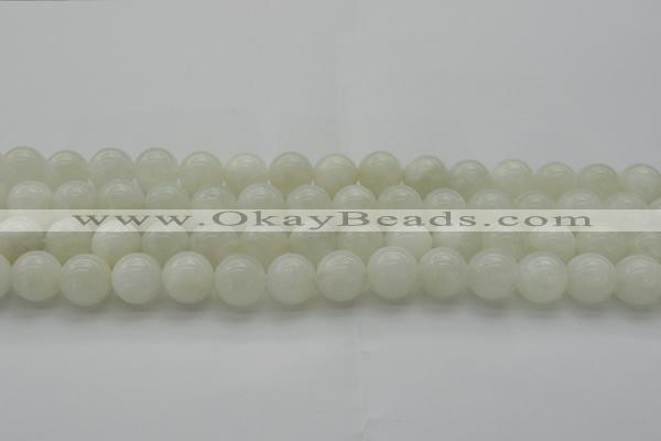 CMS1031 15.5 inches 6mm round A grade white moonstone beads