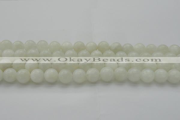 CMS1034 15.5 inches 12mm round A grade white moonstone beads