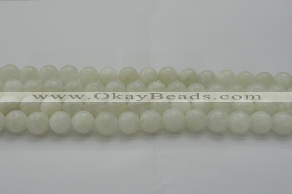 CMS1035 15.5 inches 14mm round A grade white moonstone beads