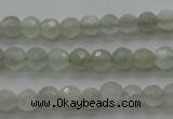 CMS1054 15.5 inches 4mm faceted round grey moonstone beads wholesale