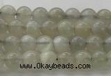 CMS1057 15.5 inches 6mm round grey moonstone beads wholesale