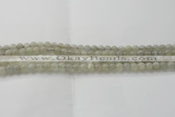 CMS1057 15.5 inches 6mm round grey moonstone beads wholesale