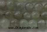 CMS1058 15.5 inches 8mm round grey moonstone beads wholesale