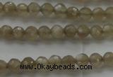 CMS1066 15.5 inches 4mm faceted round grey moonstone beads wholesale