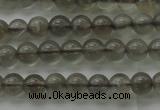 CMS1070 15.5 inches 4mm round grey moonstone beads wholesale