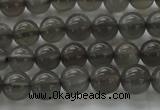 CMS1071 15.5 inches 6mm round grey moonstone beads wholesale