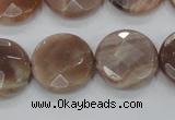 CMS113 15.5 inches 20mm faceted coin moonstone gemstone beads