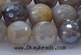 CMS1314 15.5 inches 12mm faceted round AB-color grey moonstone beads