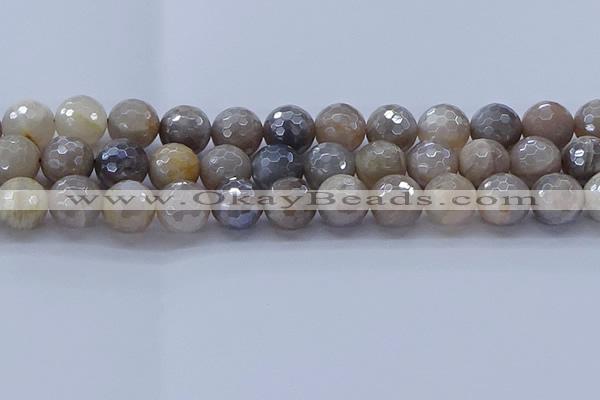 CMS1315 15.5 inches 14mm faceted round AB-color grey moonstone beads