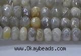 CMS1331 15.5 inches 4*6mm faceted rondelle AB-color grey moonstone beads