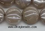 CMS1348 15.5 inches 12mm flat round AB-color moonstone beads