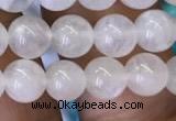 CMS1401 15.5 inches 6mm round white moonstone beads wholesale