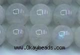 CMS1491 15.5 inches 8mm round white moonstone beads wholesale