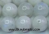 CMS1492 15.5 inches 10mm round white moonstone beads wholesale