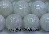 CMS1493 15.5 inches 12mm round white moonstone beads wholesale