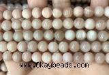 CMS1672 15.5 inches 8mm round moonstone beads wholesale