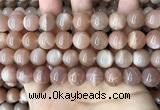 CMS1674 15.5 inches 12mm round moonstone beads wholesale