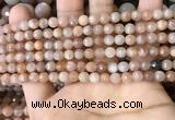 CMS1677 15.5 inches 4mm faceted round moonstone beads wholesale