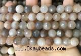 CMS1694 15.5 inches 10mm faceted round rainbow moonstone beads