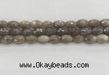 CMS1775 15.5 inches 8*12mm faceted rice AB-color moonstone beads